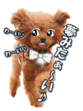 fanchocorin3 sticker #14469191