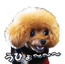 fanchocorin3 sticker #14469192