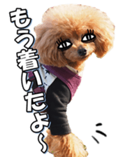 fanchocorin3 sticker #14469193