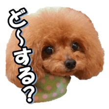 fanchocorin3 sticker #14469195