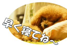 fanchocorin3 sticker #14469197