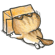 Bobbi Cat English version sticker #14469574