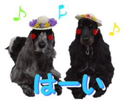 REAL English Cocker Spaniel 2 sticker #14471422