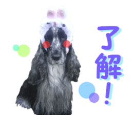 REAL English Cocker Spaniel 2 sticker #14471423