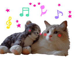 REAL English Cocker Spaniel 2 sticker #14471452