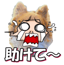 chihuahuafan3 sticker #14473249