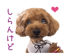 Real DOG Toy Poodle Friends sticker #14474306