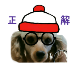 Real DOG Poodle Love Friend sticker #14474771