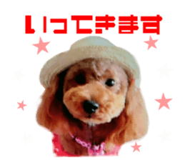 Real DOG Poodle Love Friend sticker #14474778