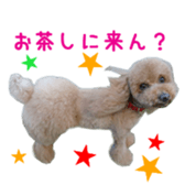 Real DOG Poodle Love Friend sticker #14474787