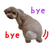 Real DOG Poodle Love Friend sticker #14474788