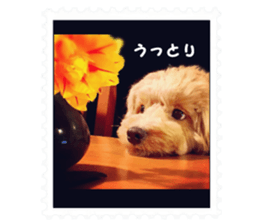 petstamp2016 sticker #14475059