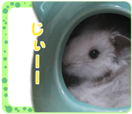 petstamp2016 sticker #14475060