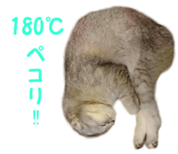 petstamp2016 sticker #14475062
