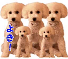 petstamp2016 sticker #14475063