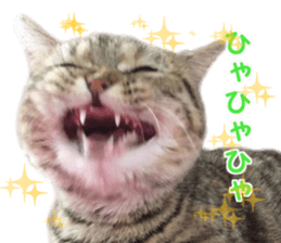 petstamp2016 sticker #14475065