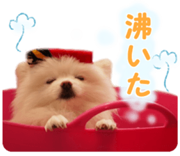 petstamp2016 sticker #14475069