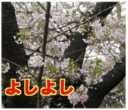 Encouraging landscape sticker #14475399