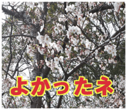 Encouraging landscape sticker #14475400