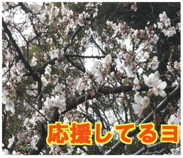 Encouraging landscape sticker #14475401