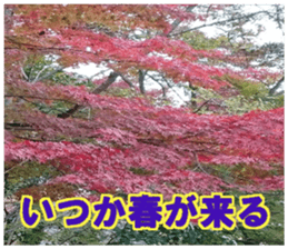 Encouraging landscape sticker #14475403