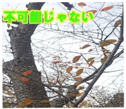 Encouraging landscape sticker #14475404