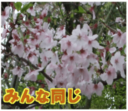 Encouraging landscape sticker #14475410