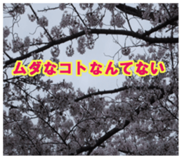 Encouraging landscape sticker #14475413