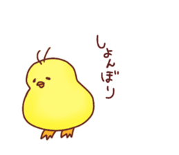 cute Chick Chick Sticker sticker #14476097