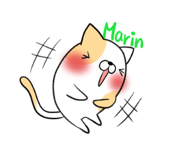 MARIN's exclusive sticker sticker #14477430