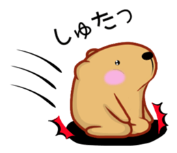 Kyapibara 12 sticker #14477931