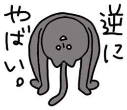 Black cat - white cat 2 sticker #14477987