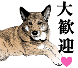 Lovely dog: SHIBU sticker #14478942