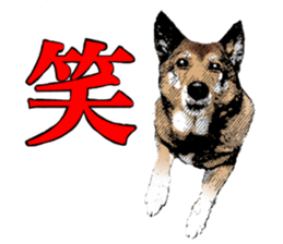 Lovely dog: SHIBU sticker #14478946