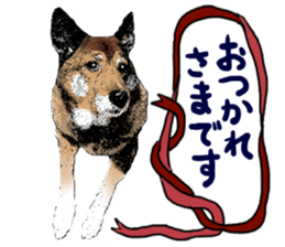 Lovely dog: SHIBU sticker #14478948