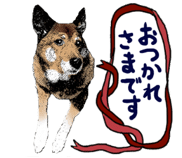 Lovely dog: SHIBU sticker #14478948