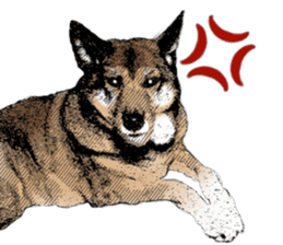 Lovely dog: SHIBU sticker #14478951