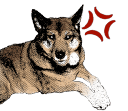 Lovely dog: SHIBU sticker #14478951
