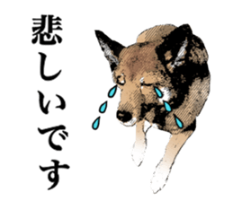 Lovely dog: SHIBU sticker #14478952
