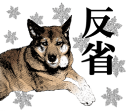 Lovely dog: SHIBU sticker #14478953