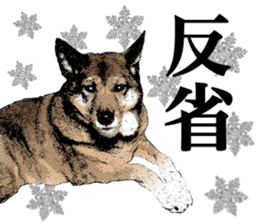 Lovely dog: SHIBU sticker #14478953
