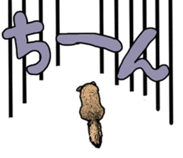 Lovely dog: SHIBU sticker #14478956