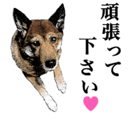 Lovely dog: SHIBU sticker #14478959