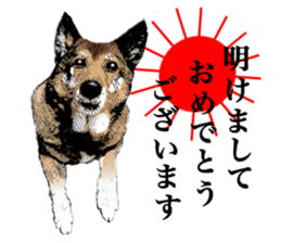 Lovely dog: SHIBU sticker #14478961