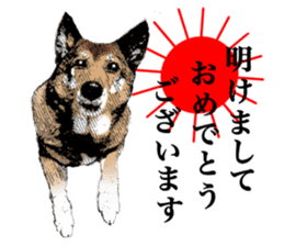 Lovely dog: SHIBU sticker #14478961