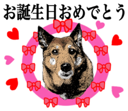 Lovely dog: SHIBU sticker #14478962