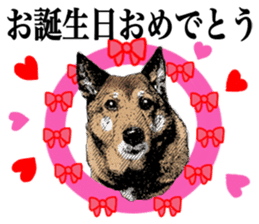 Lovely dog: SHIBU sticker #14478962