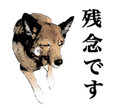 Lovely dog: SHIBU sticker #14478965