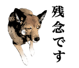 Lovely dog: SHIBU sticker #14478965