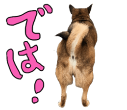 Lovely dog: SHIBU sticker #14478968